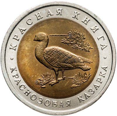 купить 10 рублей 1992 ЛМД краснозобая казарка
