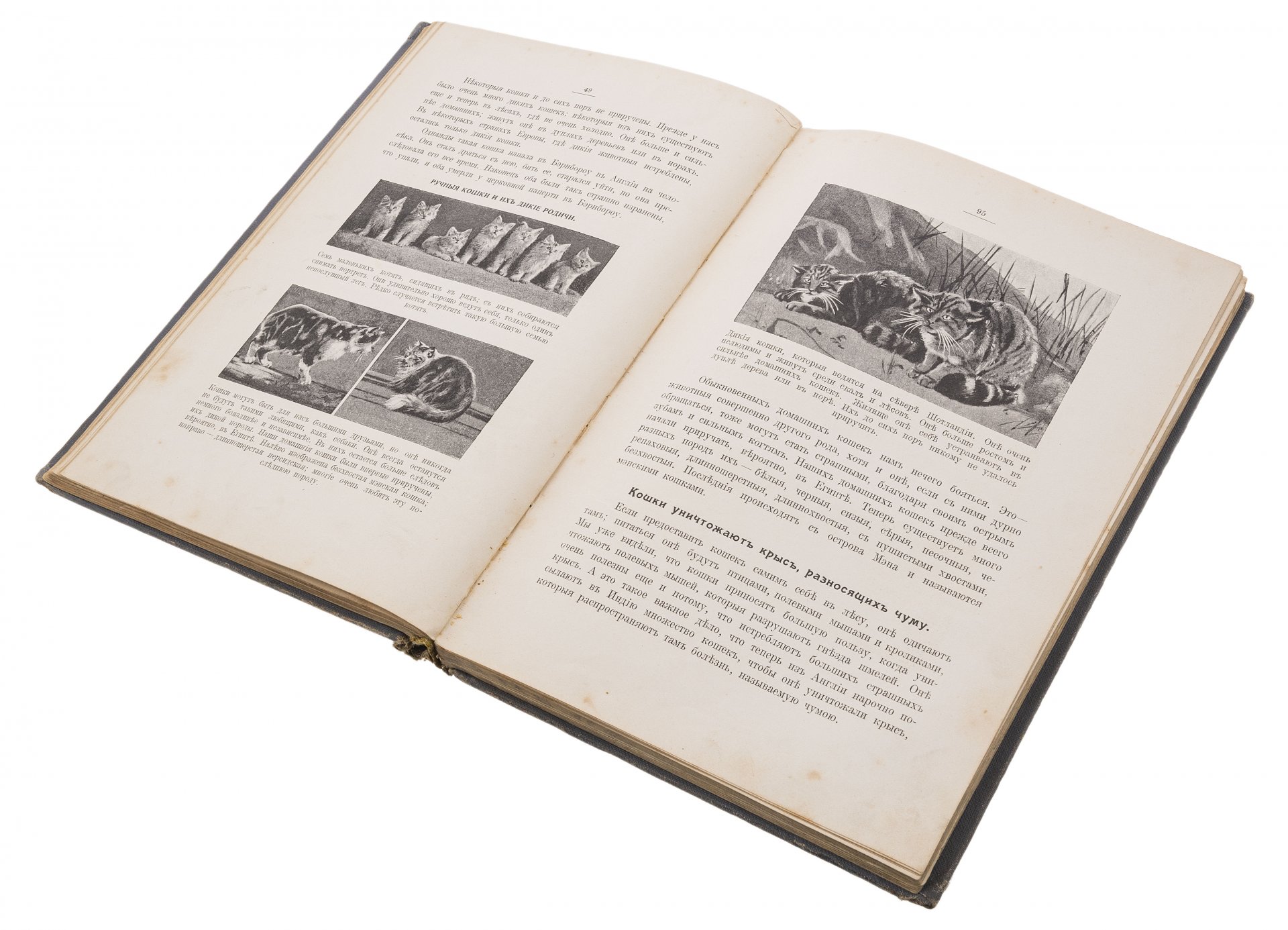 Д сытина. Самый первый читать 1. Библия. Издание сытина 1914 сенкевич. Первые печатные книги в древней руси.