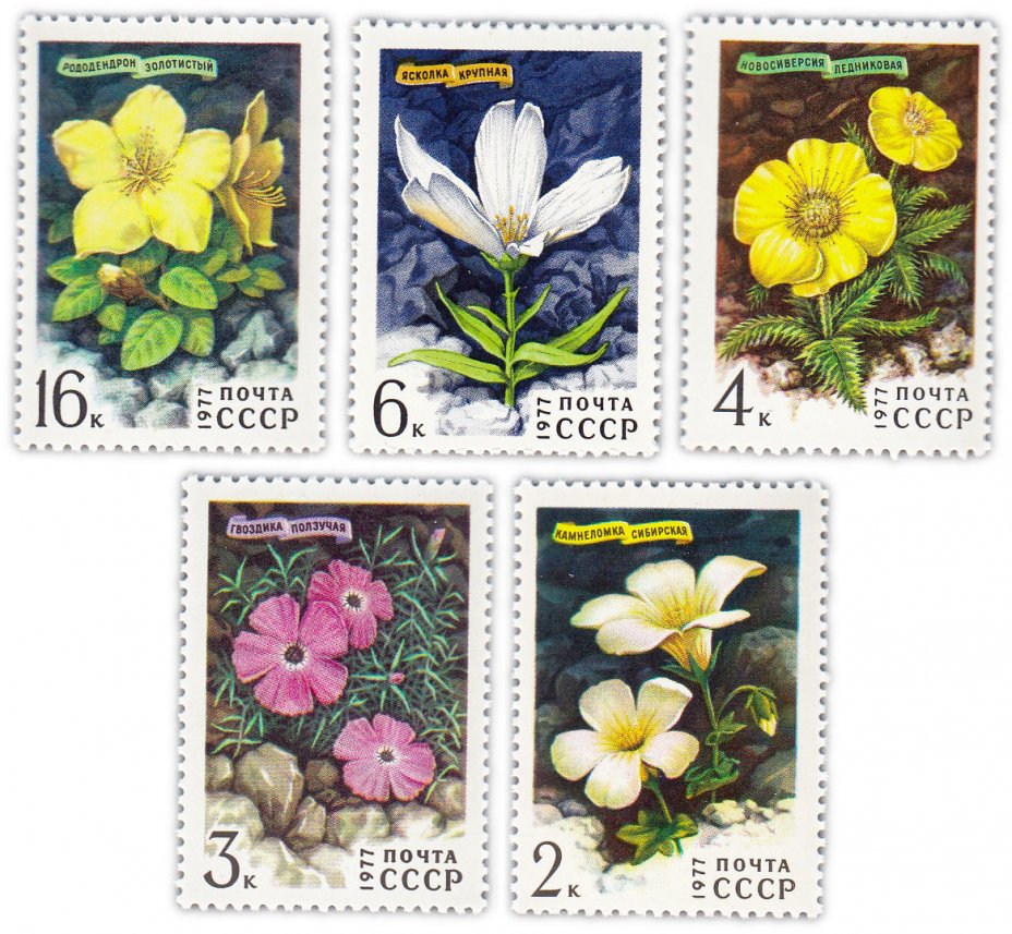 купить Полная серия 1977 "Цветы гор Сибири" (5 марок)