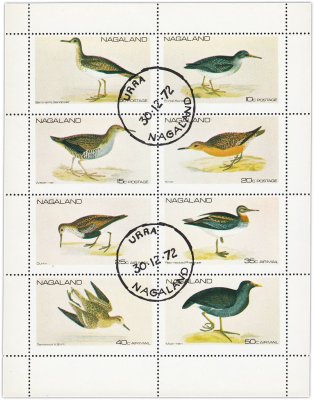 купить Индия марки квартблок "Птицы Нагаленд"