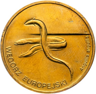купить Польша 2 злотых 2003 "Речной угорь"
