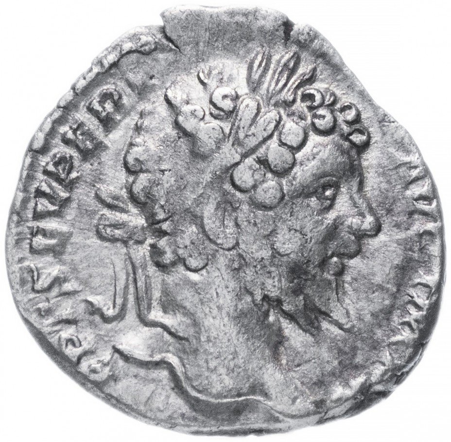 купить Римская Империя Септимий Север 193–211 гг денарий (реверс: Пакс сидит на троне)