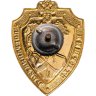 Купить Знак Старший погранотряда ( Винт ) (разновидность случайная)