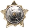 Купить Значок СССР "Воин-спортсмен", I степени, винтовой