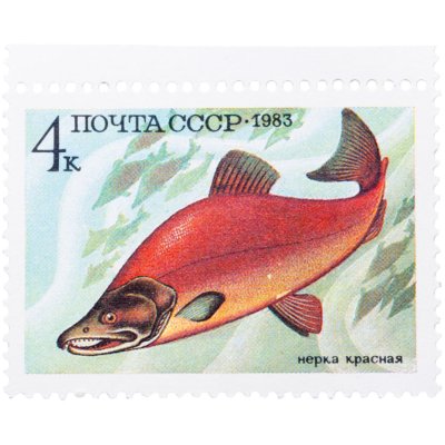 купить 4 копейки СССР 1983 "Нерка красная"