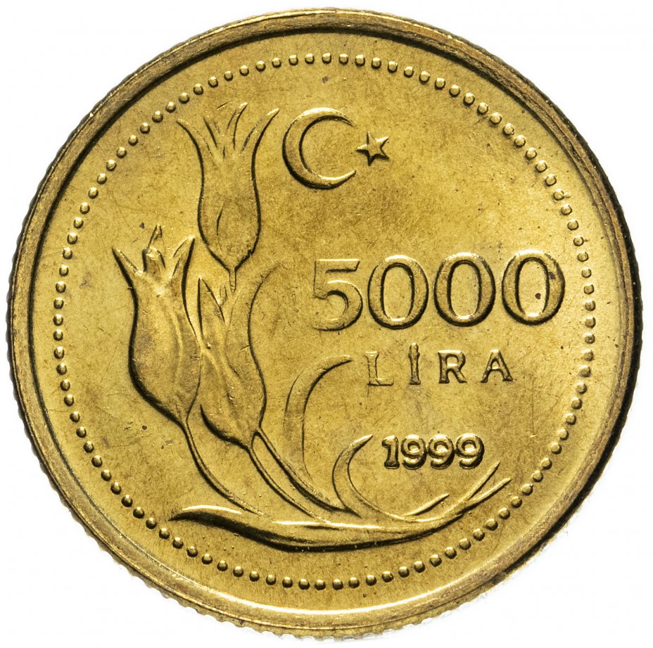 купить Турция 5000 лир (lira) 1999