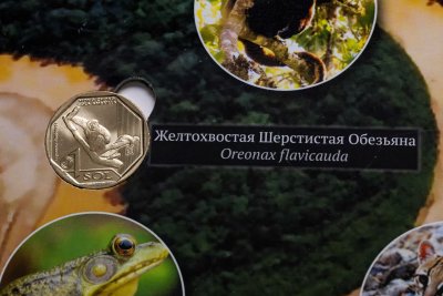 купить Перу, комплект 10-ти монет 1 соль 2017-2019 серии "Фауна Перу (Красная книга)" в сувенирном альбоме