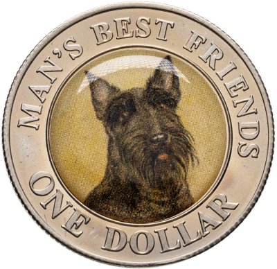 купить Острова Кука 1 доллар (dollar) 2003 «Лучшие друзья человека - шотландский терьер»