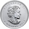 Купить Канада 8 долларов (dollars) 2013 "Полярный медведь"