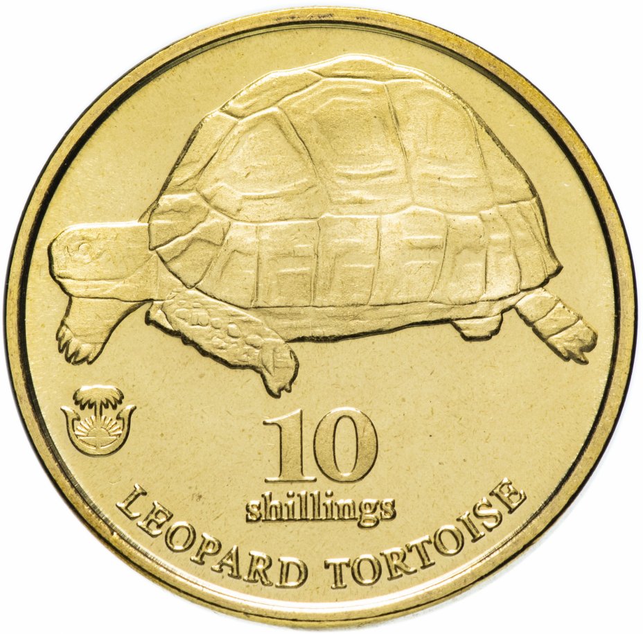 купить Биафра монетовидный жетон 10 шиллингов 2018 "Леопардовая черепаха"