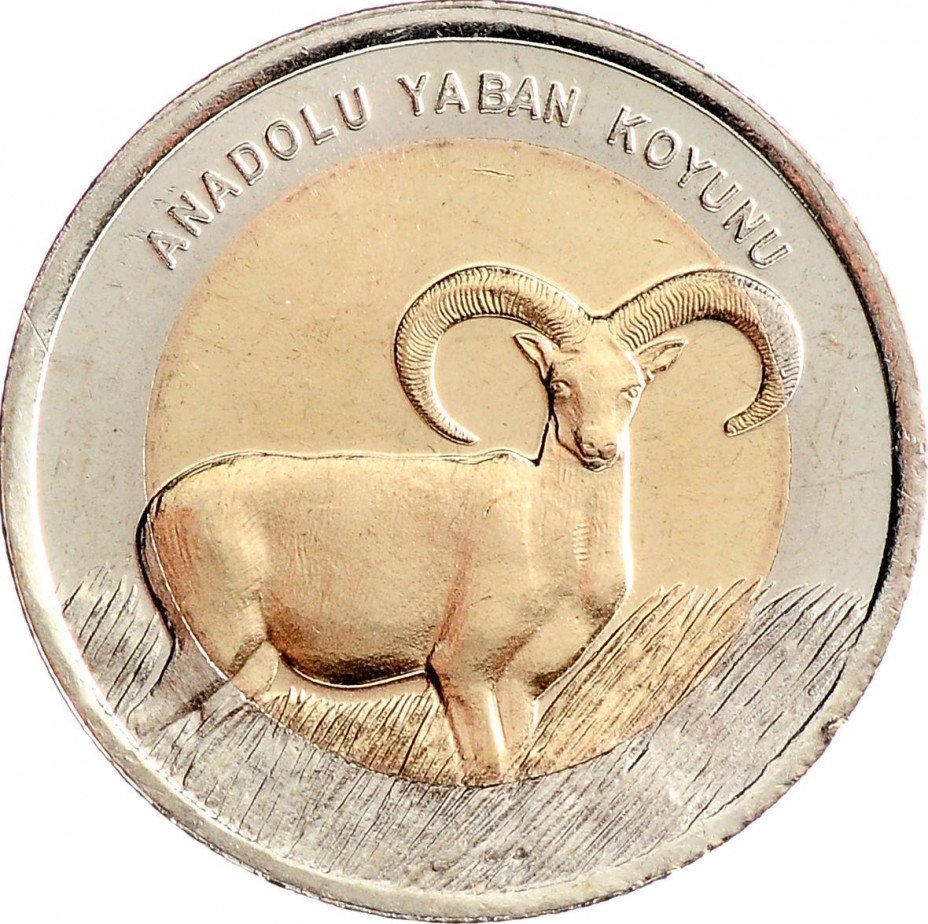 купить 1 лира 2015 "Фауна Турции - Муфлон"