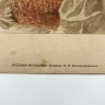 Купить Хромолитография по картине "Русская молодица" в раме, автор акварели Степан Федорович Александровский, издание Артистического заведения А.Ф. Маркса "Альбом Нивы на 1893 год", бумага, печать, картон, стекло, Российская империя, 1893 г.