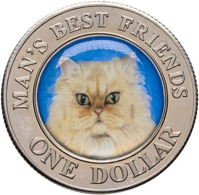 купить Острова Кука 1 доллар (dollar) 2003 «Лучшие друзья человека - персидская кошка»