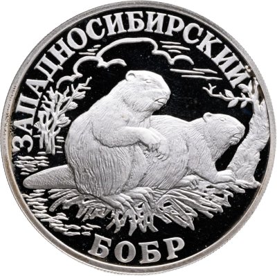 купить 1 рубль 2001 СПМД Proof "Красная книга - Западносибирский бобр"