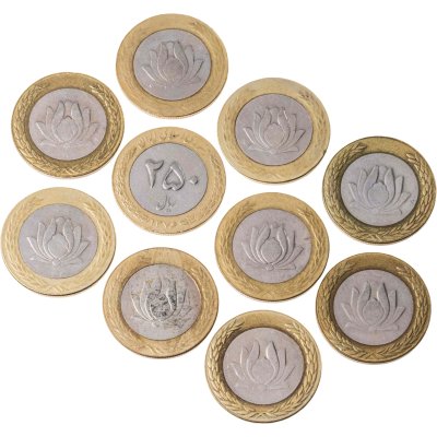 купить Иран набор монет 250 риалов 1993-2003 (кроме 2001) 10 штук