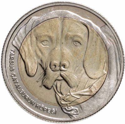 купить Турция 1 куруш 2021 "Собака чаталбурун (каталбурун)"