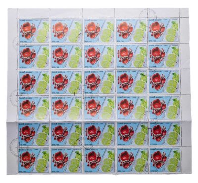 купить Гвинея-Бисау марки квартблок "Грибы. Пецица оранжевая"