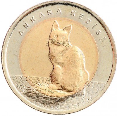 Купить Турция 1 лира 2015 "Фауна Турции - Турецкая ангора"