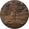 Купить СССР настольная медаль "750 лет крепости Копорье" 1991, ЛМД, медальер Архипов А.А.
