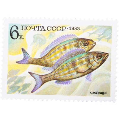 купить 6 копеек марка СССР 1983 "Сварида"