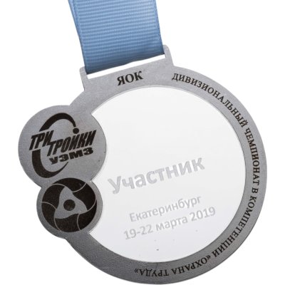 купить Медаль "Участник. Дивизиональный чемпионат в компетенции "Охрана труда"