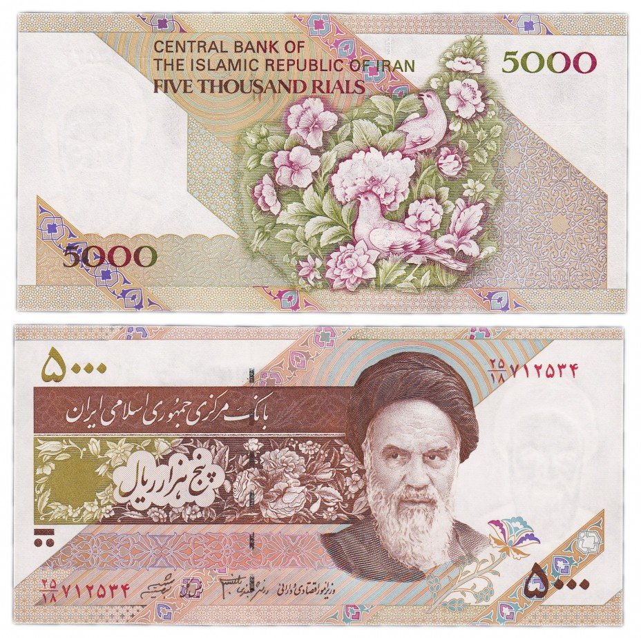 купить Иран 5000 риалов 1993 (Pick 145f)