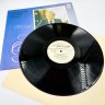 Купить Грампластинки "Песни Александра Дольского", "Тем, Кто Влюблен", 2LP (Long play), EX (excellent), композитный материал, картон, Всесоюзная фирма грампластинок «Мелодия», СССР, 1978-1979 гг.