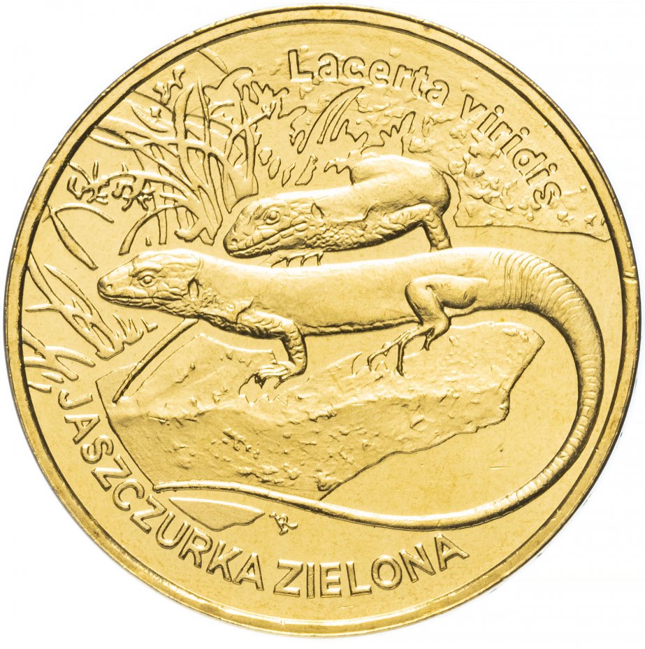купить Польша 2 злотых 2009 "Ящерица (Lizard) (Jaszczurka)"