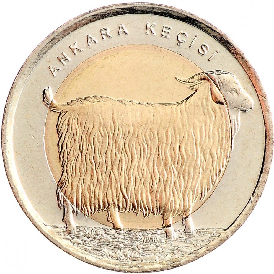 купить Турция 1 лира 2015 "Фауна Турции - Ангорская коза"