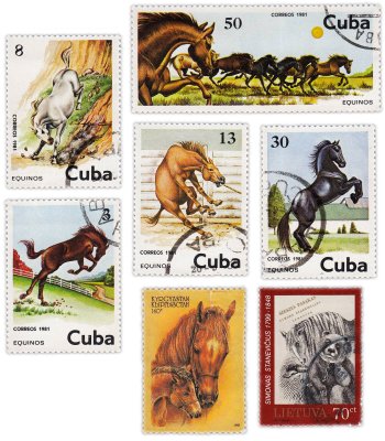 купить Марки набор из 7 штук "Флора и Фауна. Лошади"