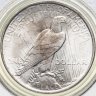 Купить США 1 dollar (доллар) 1923 Peace Dollar (Мирный доллар) в слабе PCGS MS64