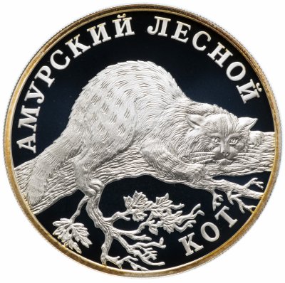 Купить 1 рубль 2004 СПМД Proof "Красная книга: амурский лесной кот"