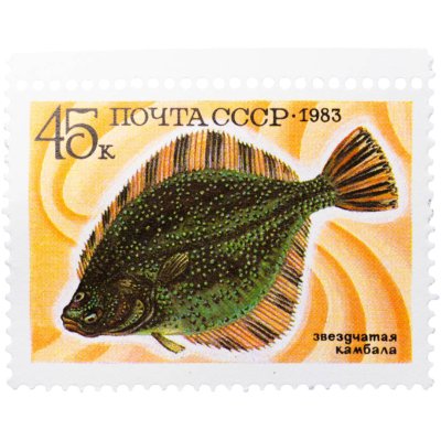 купить 45 копеек марка СССР 1983 "Звездчатая камбала"