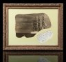 Купить Фотография парусника "Барк" с дарственной надписью, в застеклённой раме, бумага, картон, дерево, СССР, 1955 г.