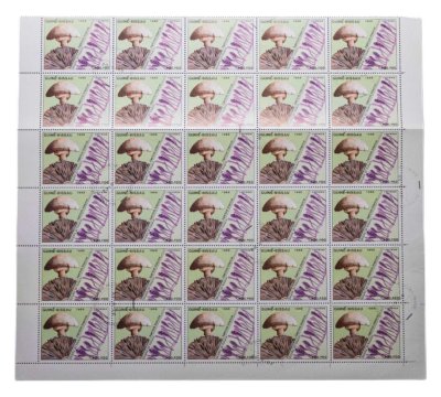 купить Гвинея-Бисау марки квартблок "Грибы. Шампиньон двуспоровый"