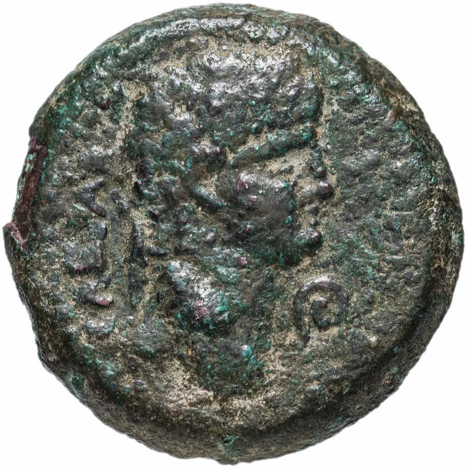 купить Римская империя, провинция Сирия, Нерон, 54-68 годы, Acc.