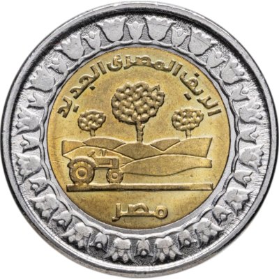 купить Египет 1 фунт 2019 Новая египетская деревня