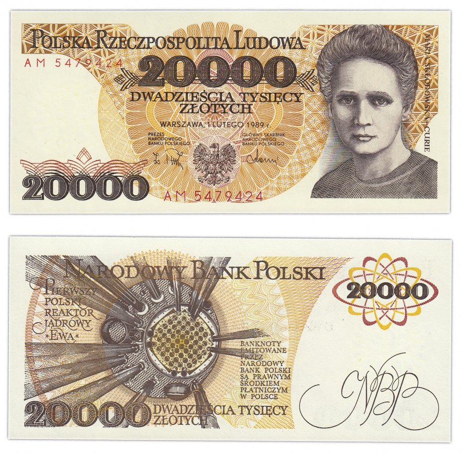 Как выглядит 100 злотых