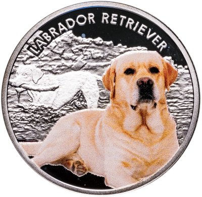 купить Остров Ниуэ 1 доллар 2014 «Лучшие друзья человека - лабрадор-ретривер»