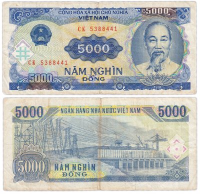 купить Вьетнам 5000 донг 1991 (Pick 108)