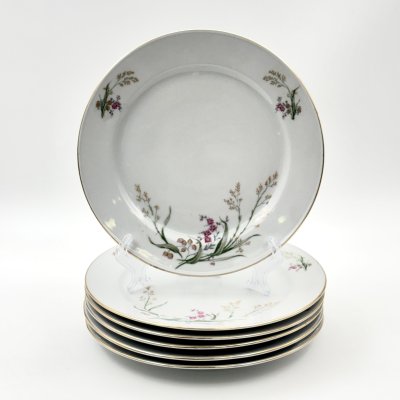 купить Набор десертных тарелок с цветочным декором на 6 персон, фарфор, деколь, золочение, Bareuther & Co., Bavaria, Германия, 1931-1945 гг.