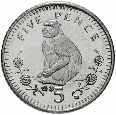 купить Гибралтар 5 пенсов (pence) 2003 "Берберская обезьяна"