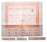 Купить Облигация на 20 купонов 150 франков 1898 Ново-Павловка