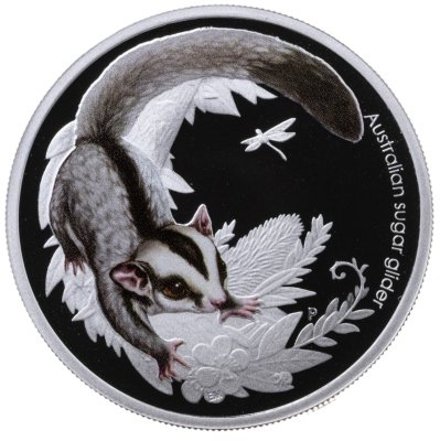 купить Австралия 50 центов 2010 "Детеныши австралийский животных. Сахарная сумчатая летяга" в футляре с сертификатом