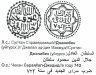 Купить Джанибек-Хан , Данг чекан Сарай ал Джедид 743г.х.(На Уйгурском)