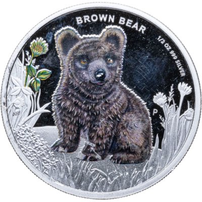 купить Тувалу 50 центов 2013 "Детеныши леса - Медведь"