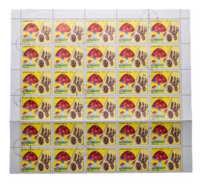 купить Гвинея-Бисау марки квартблок "Грибы. Мухомор красный"