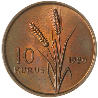купить Турция 10 курушей (kurus) 1980 ФАО - Планирование семьи