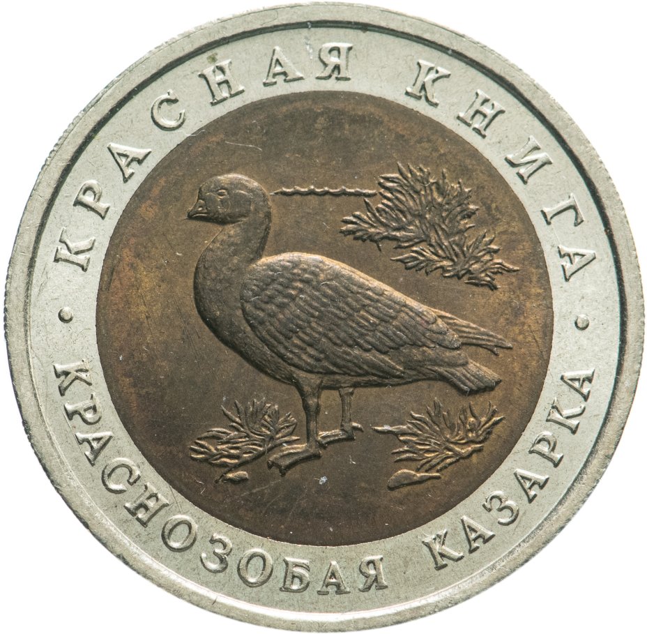 купить 10 рублей 1992 ЛМД  Краснозобая казарка - Красная книга