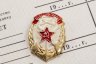Купить Комплект СССР Удостоверение " ДОСААФ СССР" ( не заполненное) +  Значок    " ДОСААФ СССР"